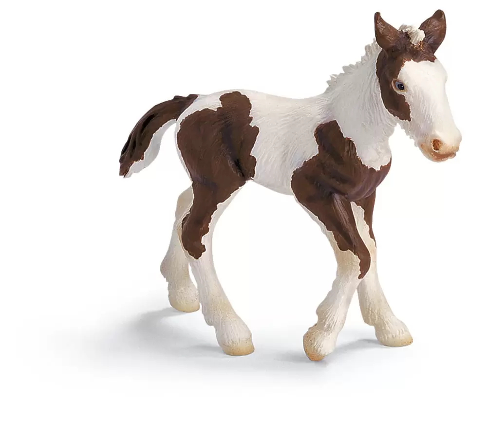 Horse Club - Poulain Tinker