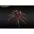 Takara Tomy Transformers Masterpieces - Black Widow (Beast Wars)