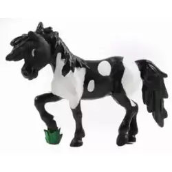 Poney de Coyotito