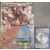 Cartes Pokemon Jumbo XXL - XY - Volcanion EX - Jumbo