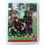 Foot 2012-13 - Equipe OGC Nice - OGC Nice