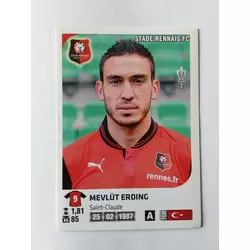 Mevlut Erding - Stade Rennais FC