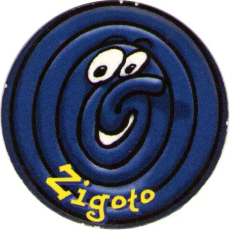 Haribo - Zigoto