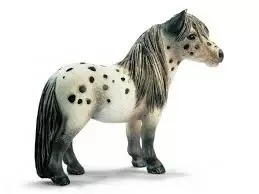 Horse Club - Hongre Falabella