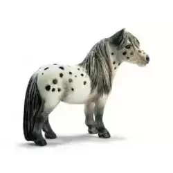 Hongre Falabella