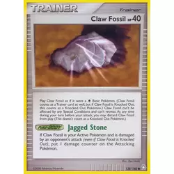Claw Fossil