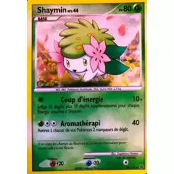 Shaymin holographique