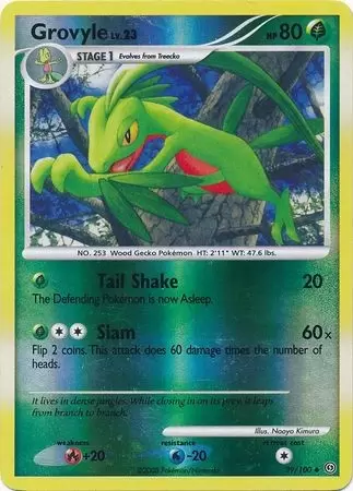 grovyle pokemon card