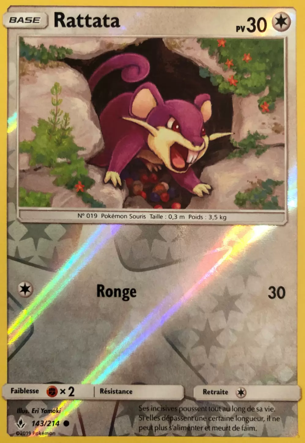 Alliance Infaillible - Rattata Reverse