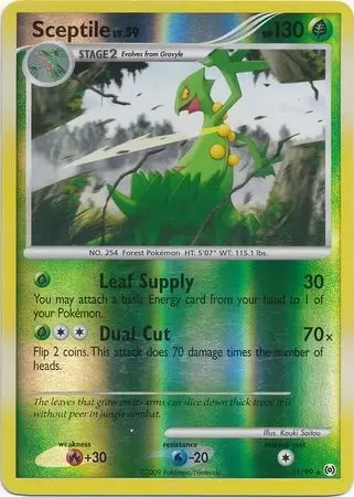 Platinum Arceus - Sceptile Reverse