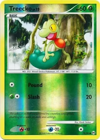 Platinum Arceus - Treecko Reverse