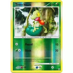 Treecko Reverse