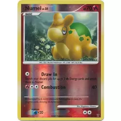 Numel Reverse