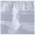 Celine Dion - A New Day Has Come Edition Collector