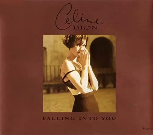 Celine Dion - Falling into you Maxi