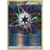 Rainbow Energy Reverse