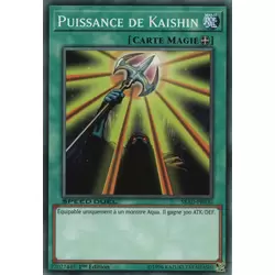 Puissance de Kaishin