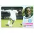 Amdy Moustapha Faye - Auxerre