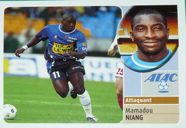 Mamadou Niang - Player profile