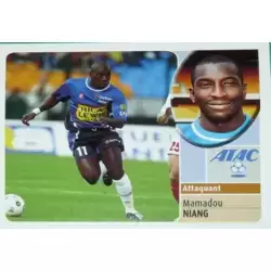 Mamadou Niang - Player profile