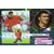 Steed Malbranque - Stars du foot