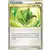 Unleashed - Life Herb