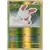 Plusle Reverse