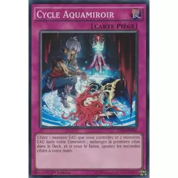 Cycle Aquamiroir