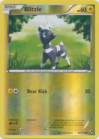 Black & White - Blitzle Reverse
