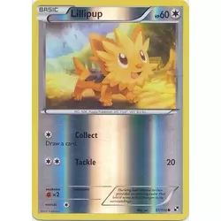 Lillipup Reverse