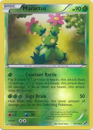 Black & White - Maractus Reverse