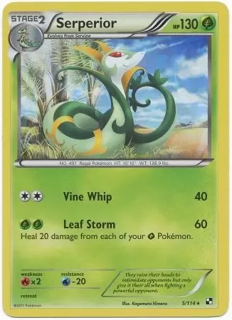 Black & White - Serperior