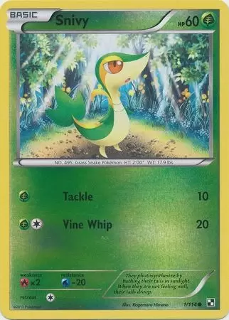 pokemon snivy card