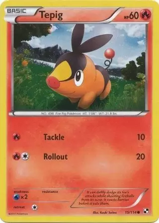 Black & White - Tepig Holo
