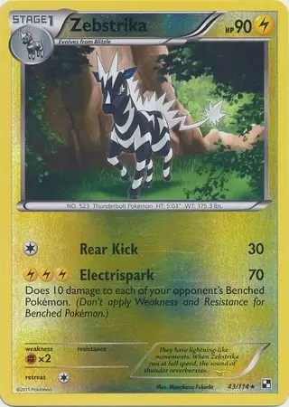 Black & White - Zebstrika Reverse