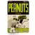 Peanuts - Raccoon Hat Snoopy