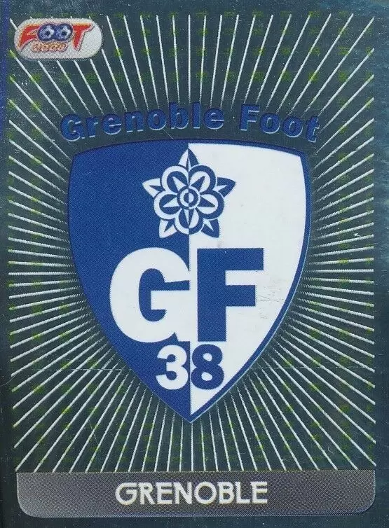 Foot 2008 - Championnat de France de L1 et L2 - Écusson Grenoble - Grenoble