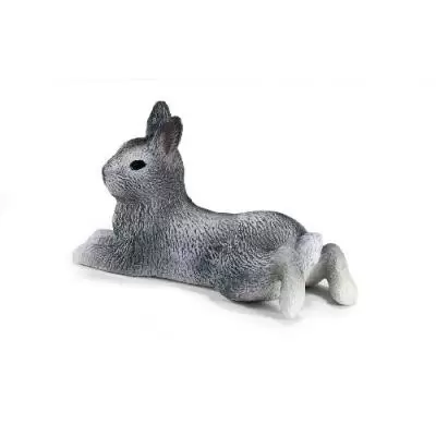 Wild Life - Lapin Nain