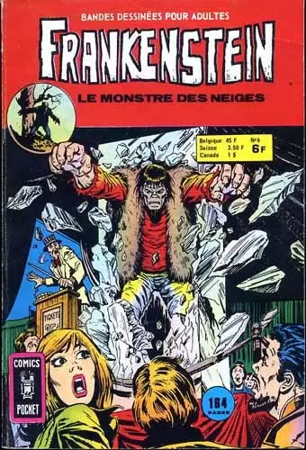 Frankenstein (Comics Pocket) - Le monstre des neiges