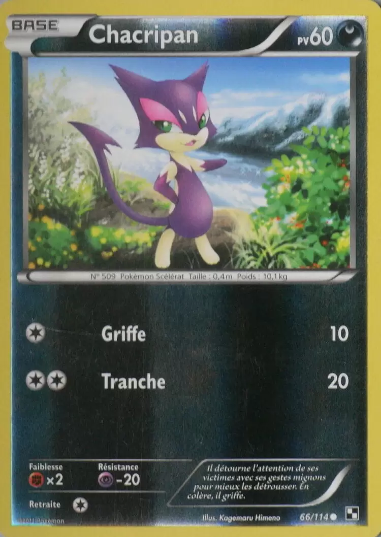 Pokémon Série Noir et Blanc - Chacripan Reverse