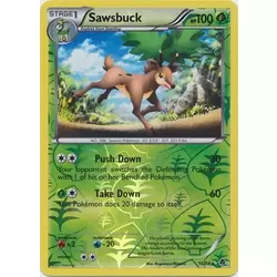 Sawsbuck Reverse