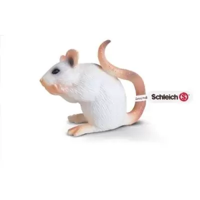Wild Life - Souris blanche