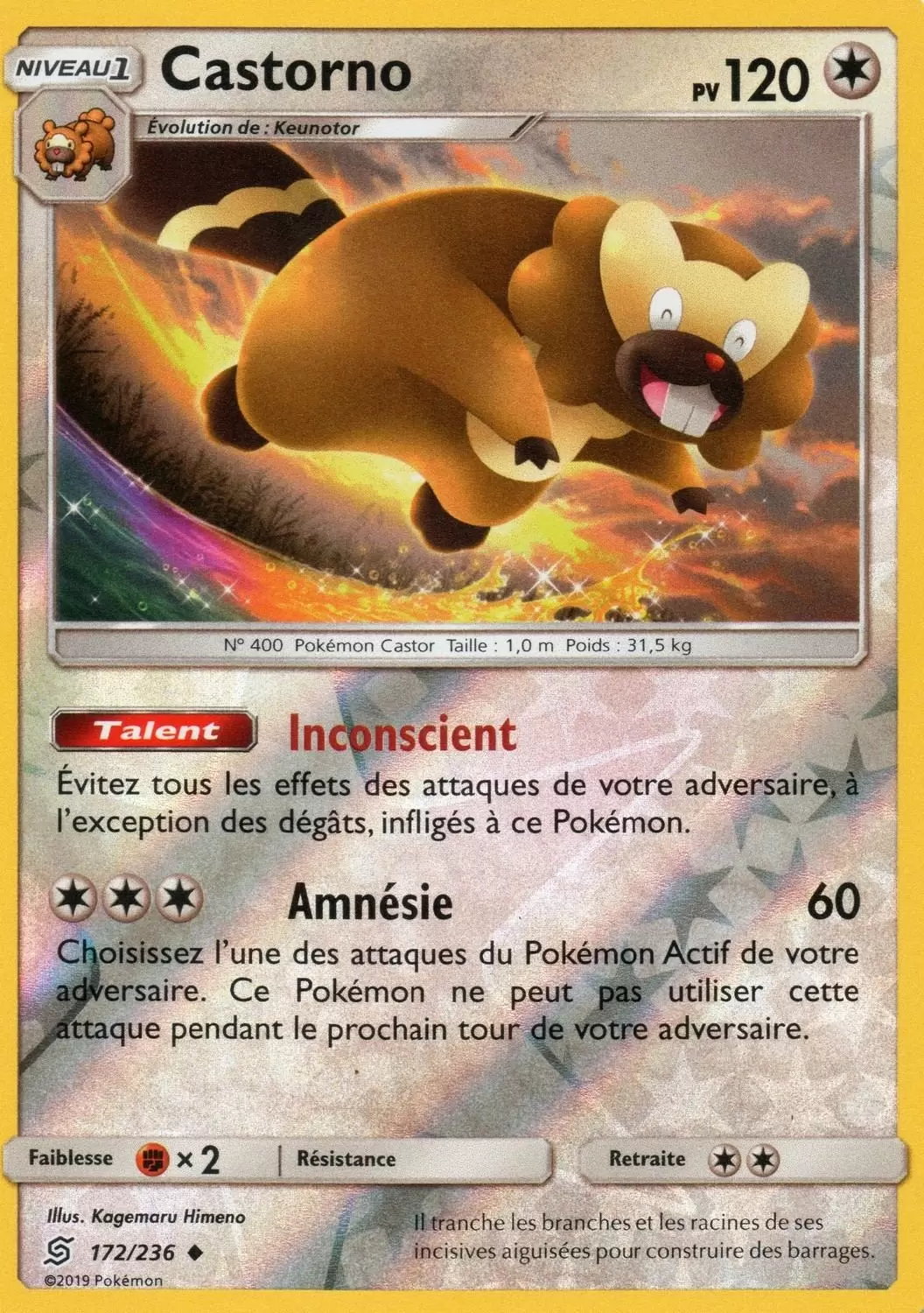 Harmonie des Esprits - Castorno Reverse