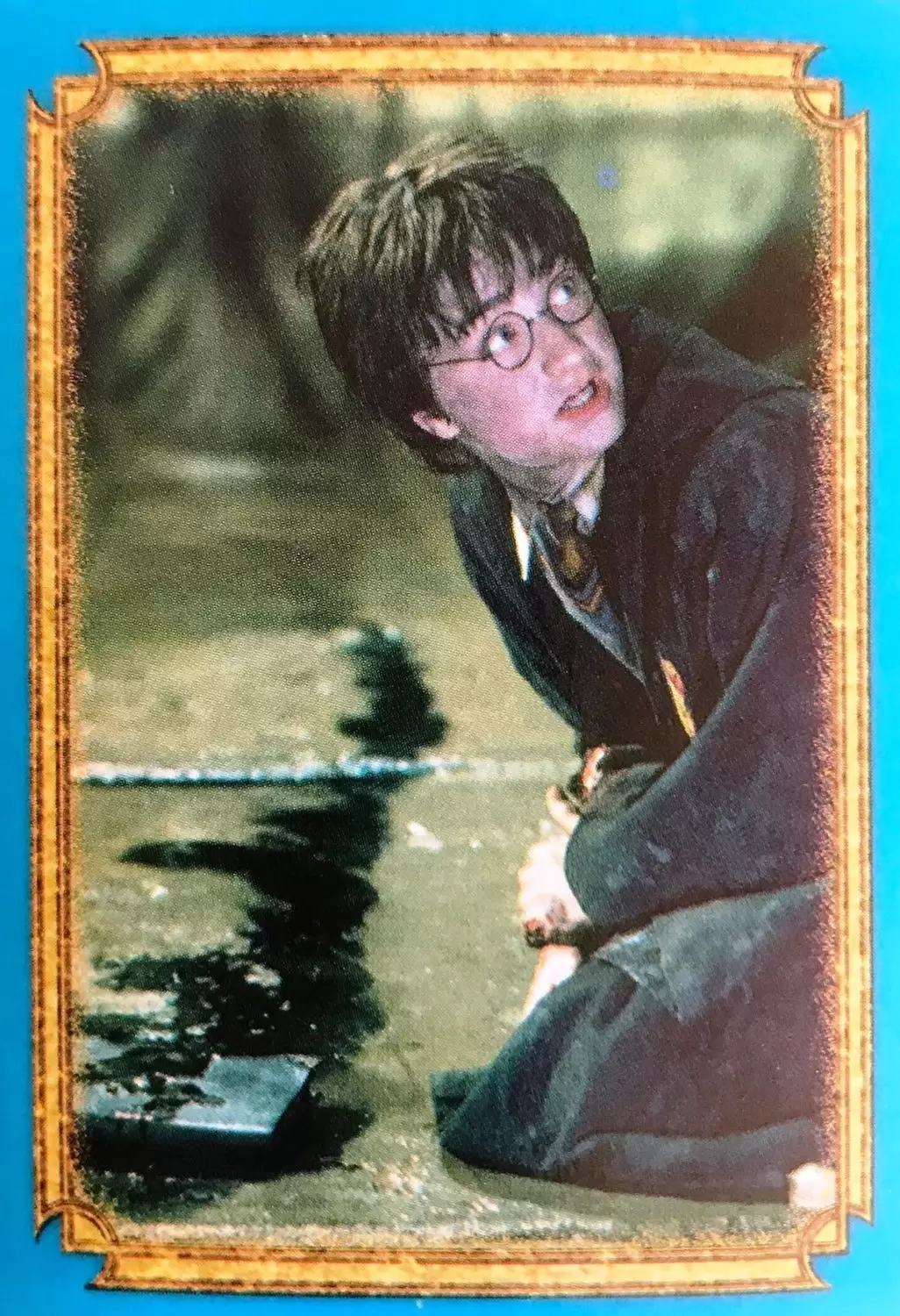 Harry Potter et la Chambre des Secrets - Image n°206