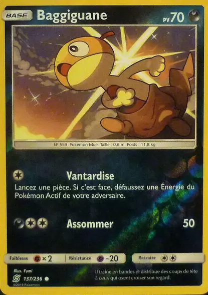 Harmonie des Esprits - Baggiguane Reverse