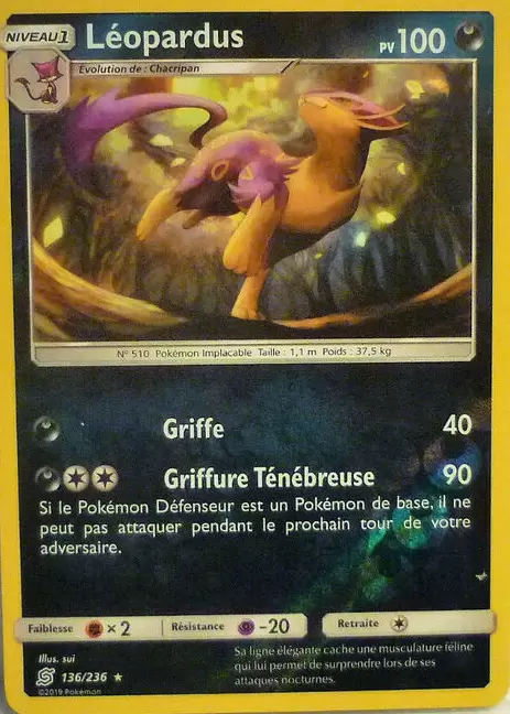 Harmonie des Esprits - Léopardus Reverse