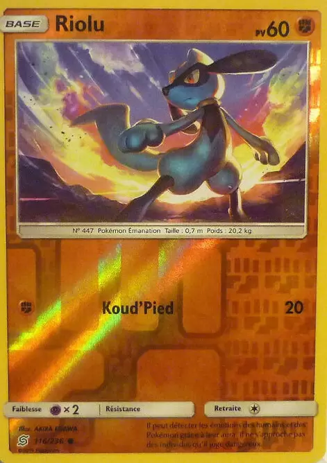 Harmonie des Esprits - Riolu Reverse