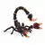 Scorpion de lave