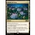 Core Set 2020 - Champ de lotus