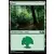 Core Set 2020 - Forêt